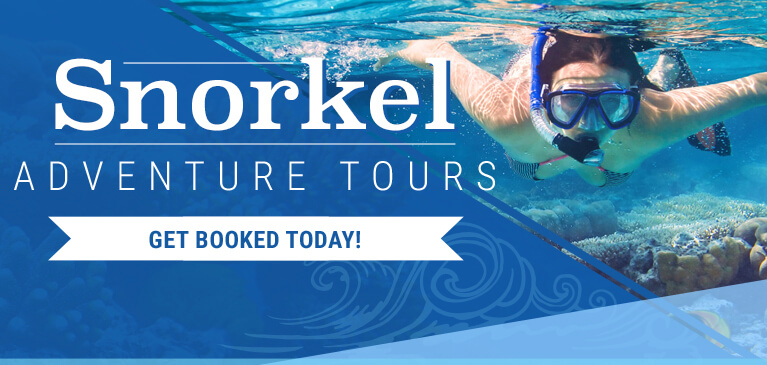 Punta Cana Snorkeling Tours